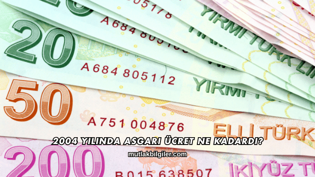 2004 Yılında Asgari Ücret Ne Kadardı?