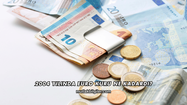2004 Yılında Euro Kuru Ne Kadardı?