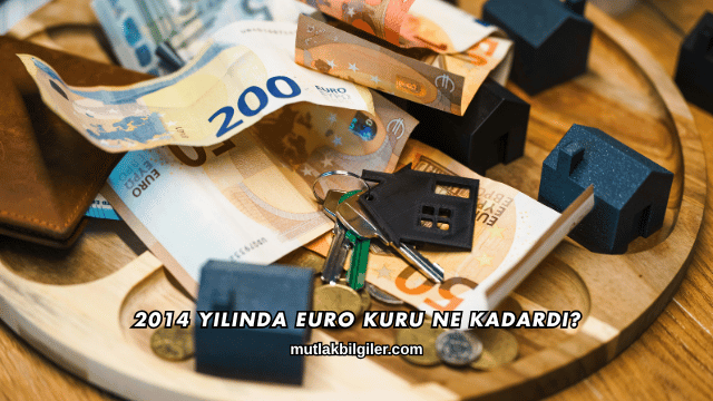 2014 Yılında Euro Kuru Ne Kadardı?