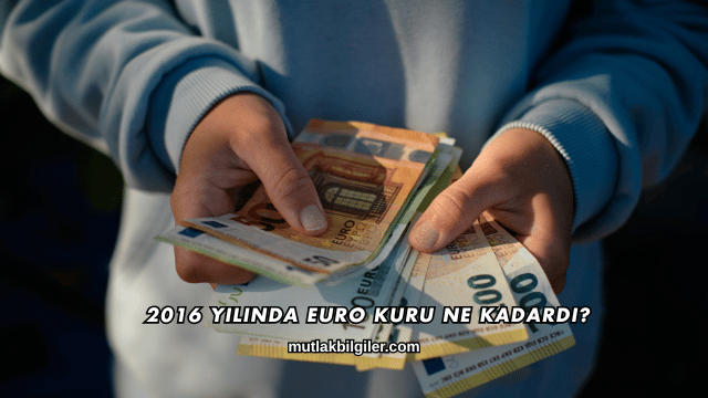 2016 Yılında Euro Kuru Ne Kadardı?