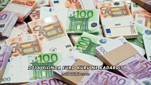 2016 Yılında Euro Kuru Ne Kadardı?