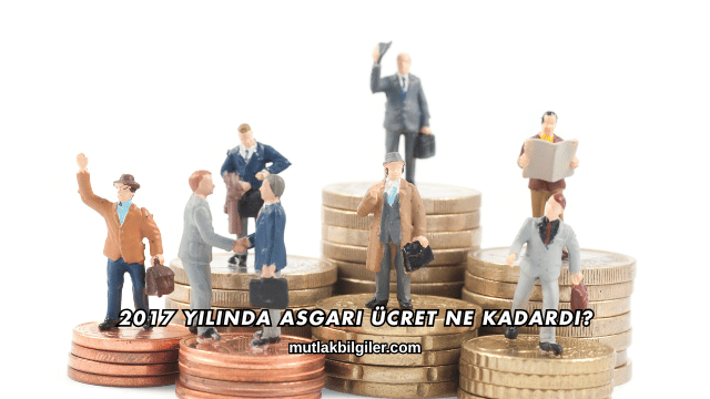 2017 Yılında Asgari Ücret Ne Kadardı?
