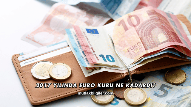 2017 Yılında Euro Kuru Ne Kadardı?