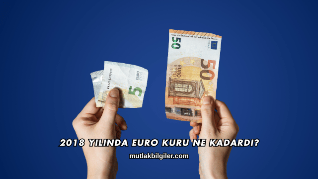 2018 Yılında Euro Kuru Ne Kadardı?