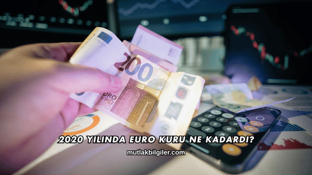 2020 Yılında Euro Kuru Ne Kadardı?