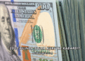 2022 Yılında Dolar Kuru Ne Kadardı?