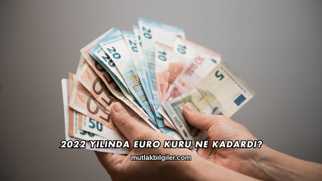 2022 Yılında Euro Kuru Ne Kadardı?