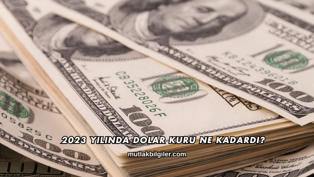 2023 Yılında Dolar Kuru Ne Kadardı?