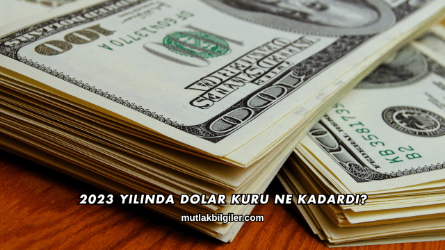 2023 Yılında Dolar Kuru Ne Kadardı?