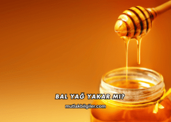 Bal Yağ Yakar mı?