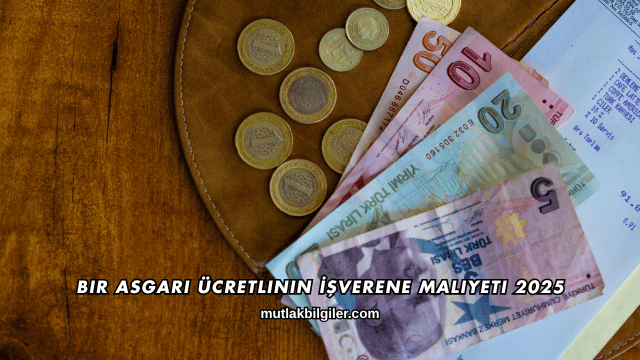 Bir Asgari Ücretlinin İşverene Maliyeti 2025