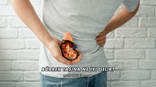 Böbrek Taşına Ne İyi Gelir?