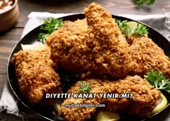 Diyette Kanat Yenir mi?