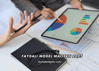Faydalı Model Maliyeti 2025