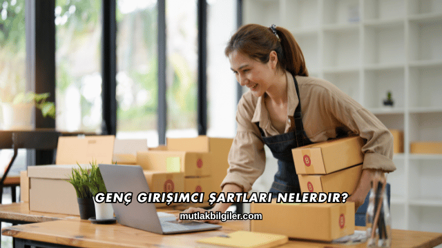 Genç Girişimci Şartları Nelerdir?
