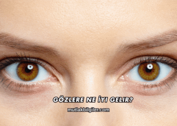 Gözlere Ne İyi Gelir?