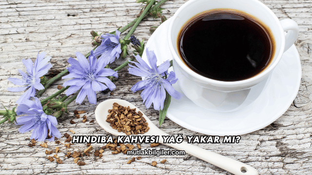 Hindiba Kahvesi Yağ Yakar mı?