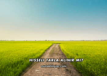 Hisseli Tarla Alınır mı?