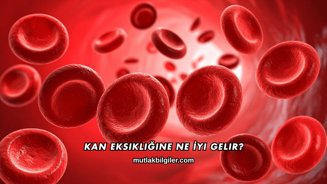 Kan Eksikliğine Ne İyi Gelir?