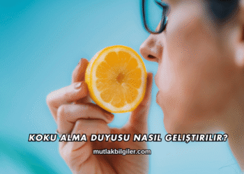 Koku Alma Duyusu Nasıl Geliştirilir?