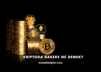 Kriptoda Bakers Ne Demek?