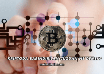 Kriptoda Barındırılan Cüzdan Ne Demek?