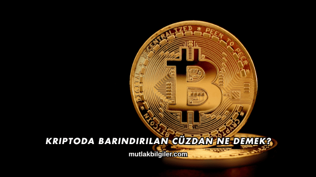 Kriptoda Barındırılan Cüzdan Ne Demek?