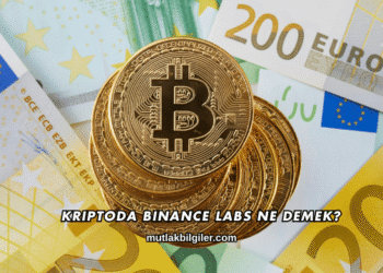 Kriptoda Binance Labs Ne Demek?