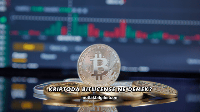 Kriptoda BitLicense Ne Demek?