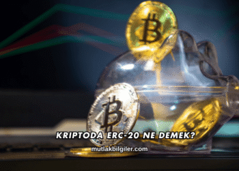 Kriptoda ERC-20 Ne Demek?