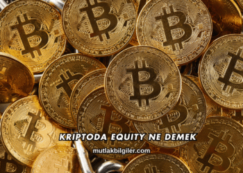 Kriptoda Equity Ne Demek