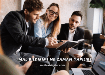 Mal Bildirimi Ne Zaman Yapılır?