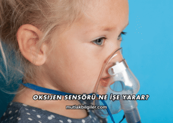 Oksijen Sensörü Ne İşe Yarar?