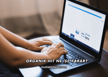 Organik Hit Ne İşe Yarar?