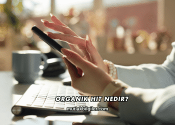 Organik Hit Nedir?