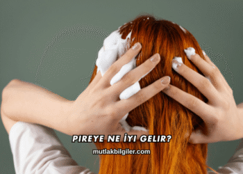Pireye Ne İyi Gelir?
