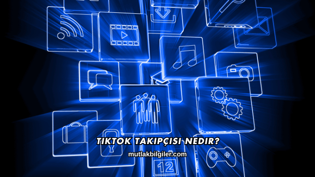 TikTok Takipçisi Nedir?