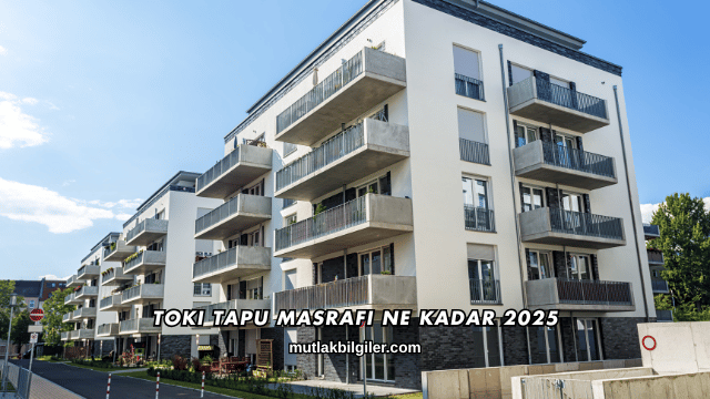 Toki Tapu Masrafı Ne Kadar 2025