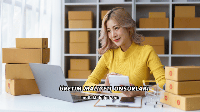Üretim Maliyeti Unsurları