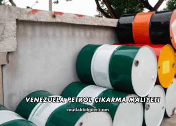Venezuela Petrol Çıkarma Maliyeti